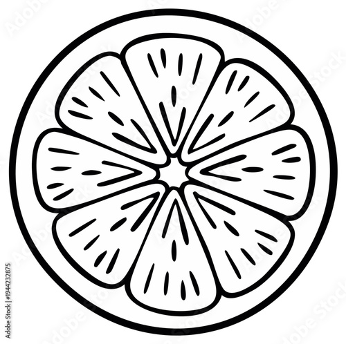 Stylized illustration of a citrus fruit slice with segmented pulp and outline detail