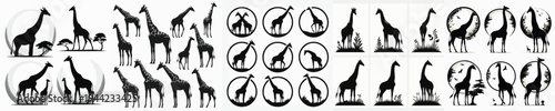 Vector set image silhouette of giraffe
