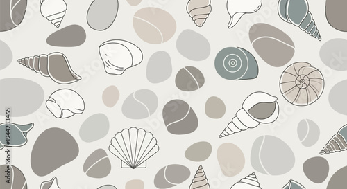 Seashells in various shapes sizes.