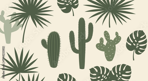 Collection of various green cactus plants.