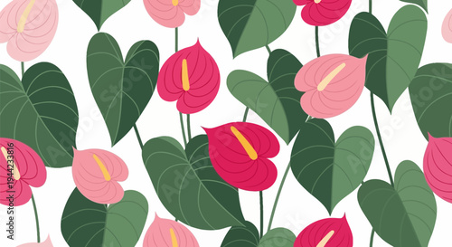 Anthurium flowers in pink and red.