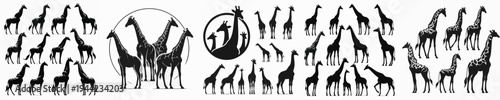 Vector set image silhouette of giraffe