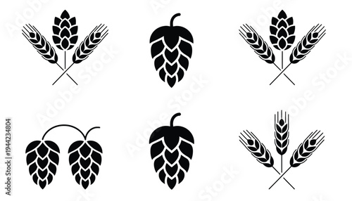 Hop silhouettes and wheat icons in black and white illustration