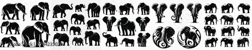 Vector set image silhouette of elephant