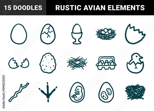 Hand-drawn bird eggs and nesting elements for rustic brand identity. Naive marker sketch illustrations featuring avian life cycles and nature concepts.