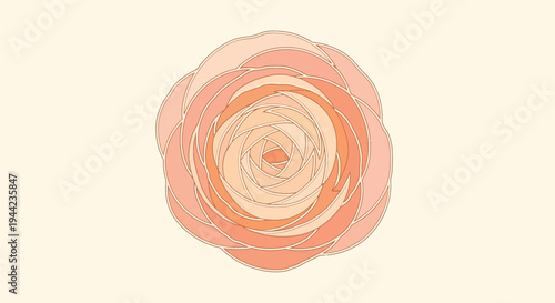 Beautiful peach colored flower petals.