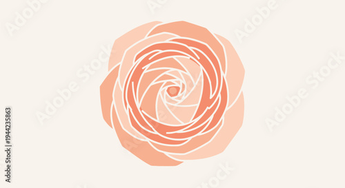 Beautiful peach colored rose flower.