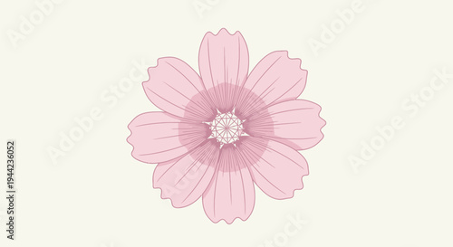 Pink flower with delicate petals blooming.