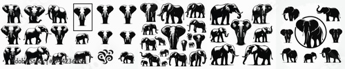 Vector set image silhouette of elephant