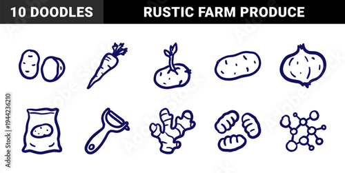 Hand-drawn root vegetables and farm produce doodles for organic branding. Rustic navy blue marker sketch illustrations featuring potato, ginger, and onion.