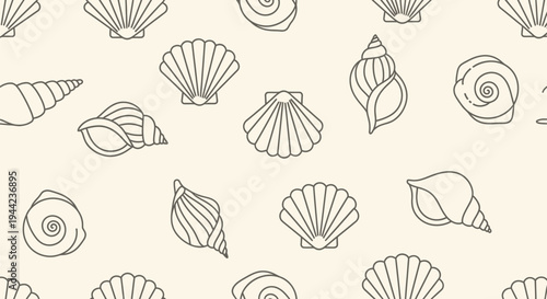 Seashells in various shapes sizes.