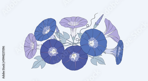 Blue and purple mushroom caps illustration.