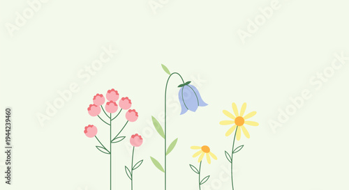 Colorful flowers in full bloom.