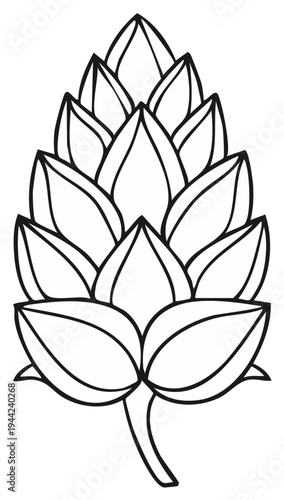 Stylized line drawing of a single hop cone botanical illustration isolated on white