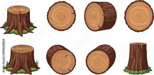 Cartoon illustration of tree stumps and log cross‑sections with detailed bark and rings, representing forestry, wood anatomy, environmental science, and educational nature design concepts.