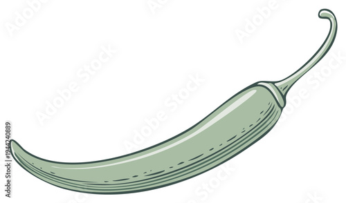 Stylized Chili Pepper Illustration Jalapeno Food Ingredient Spice Hot Cuisine Element
