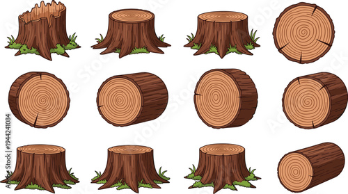 Cartoon illustration of tree stumps, logs, and wood cross‑sections with detailed bark and rings, representing forestry, wood anatomy, environmental science, and educational nature design concepts.