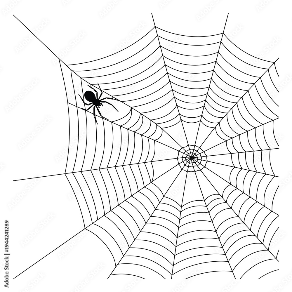 Obraz premium Silhouette of a spider on a detailed, radial spiderweb against a white background