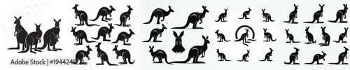 Vector set image silhouette of kangaroo