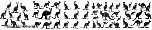 Vector set image silhouette of kangaroo