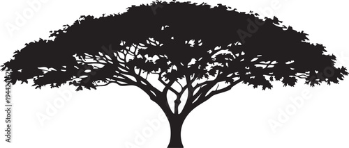 Royal Poinciana Wide Umbrella Canopy Silhouettes