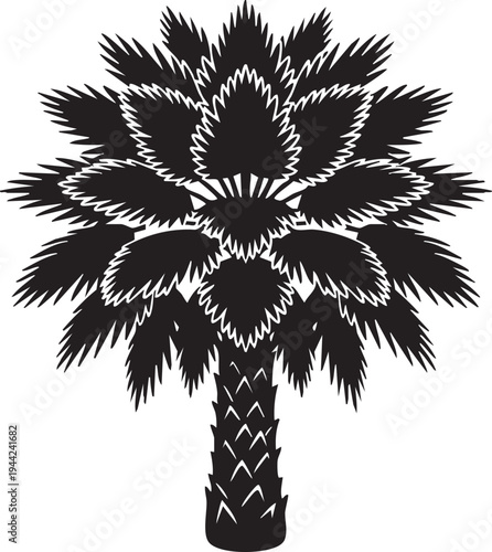 Isolated Fan Palm Tree Circular Frond Silhouettes