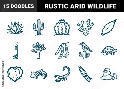 Hand-drawn desert flora and fauna elements for organic brand identity. Rustic, naive marker sketch illustrations featuring arid nature and southwestern wildlife.