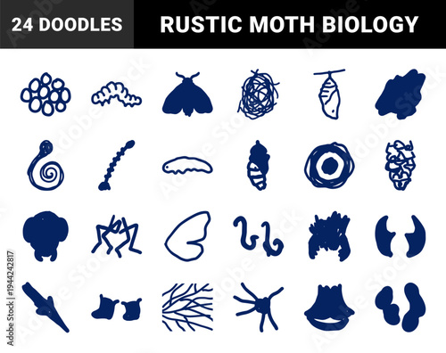 Hand-drawn insect life cycle and entomology elements featuring moth, caterpillar, and cocoon. Naive navy blue marker sketch on white background.