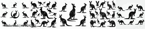 Vector set image silhouette of kangaroo