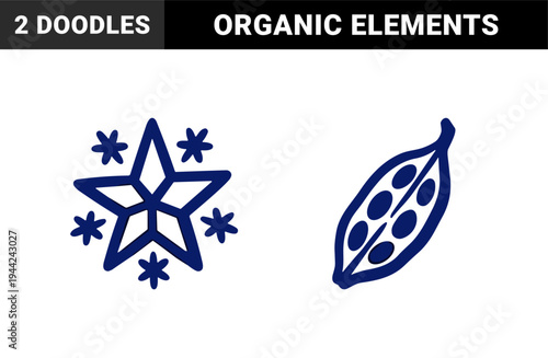 Hand-drawn organic pod and celestial star elements for rustic brand identity. Naive marker sketch illustrations featuring nature concepts.