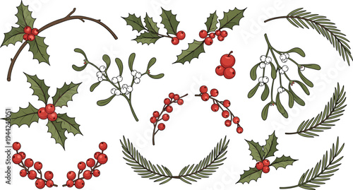 Christmas Holly Mistletoe and Winter Berry Branches Collection Festive Holiday Botanical Decorations Vector Illustration