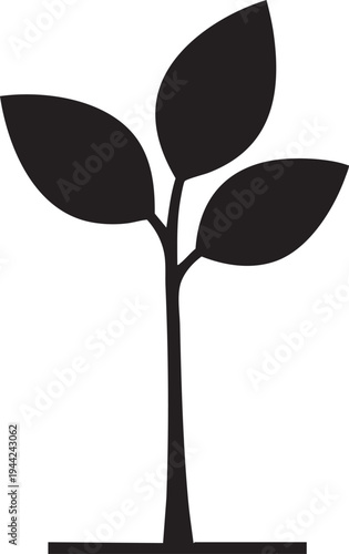 Isolated Young Tree Sapling Growth Silhouettes