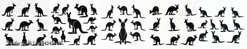 Vector set image silhouette of kangaroo