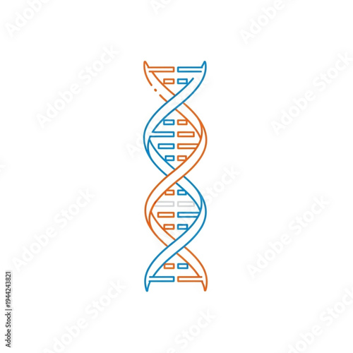 Double Helix DNA Structure Illustration.