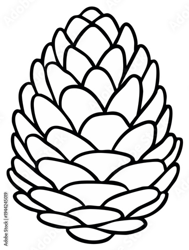 Illustration of a pine cone with layered scales, simple line art, isolated on white