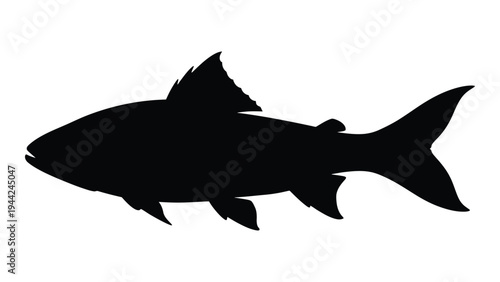 Detailed analysis of a fish silhouette: a study of aquatic life forms and biological characteristics