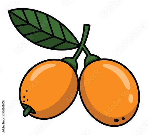 Cartoon of two ripe orange fruits with a green leaf on a white background