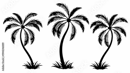 A minimalist black silhouette of three palm trees on a white background