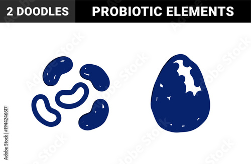Hand-drawn organic probiotic and gut health elements for wellness branding. Naive marker sketch illustrations of kombucha scoby and bacteria cultures.