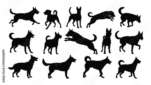 Collection of various dog breeds and sizes in different poses and actions silhouettes