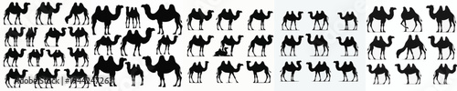 Vector set image silhouette of camel