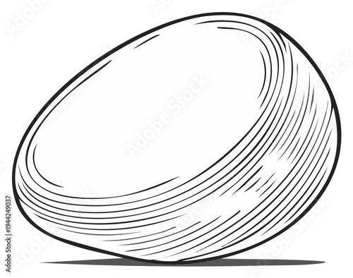 Single Chicken Egg Drawing With Hatching Detail