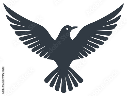 Silhouette of a bird spreading its wings in a display of freedom.