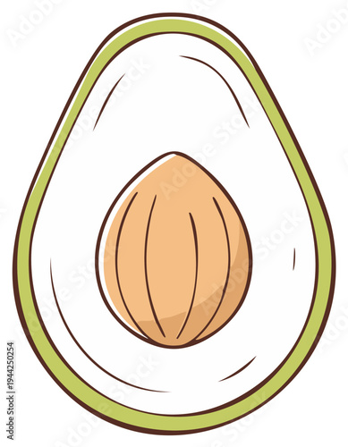 Illustration of avocado half with pit, healthy fruit with green skin, food art in cartoon style