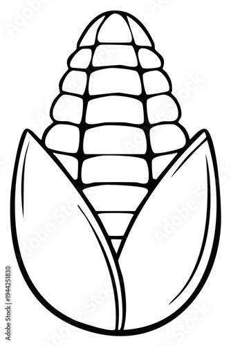 Outline of a fresh corn cob with husks showing kernels and leaves, isolated on white background