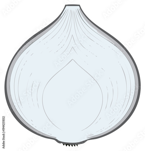 Stylized illustration of a halved white onion showing inner layers and root system