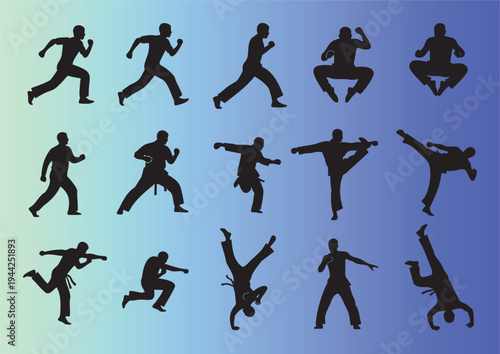 Dynamic martial arts poses collection with various fighting stances
