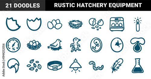 Avian incubation and poultry farming elements for biological education. Rustic hand-drawn doodle illustrations featuring bird life cycles and hatchery equipment.
