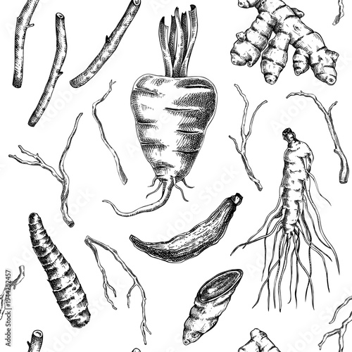 Vinatge apothecary seamless pattern. Medicinal roots hand drawn vector illustrations. Adaptogenic plants background for herbal supplements, packaging, wellness branding. Not AI generated.