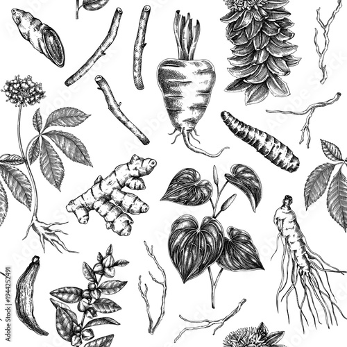 Vinatge apothecary seamless pattern. Medicinal roots hand drawn vector illustrations. Adaptogenic plants background for herbal supplements, packaging, wellness branding. Not AI generated.